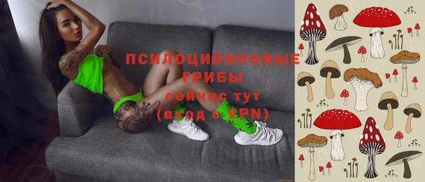 тгк Майский