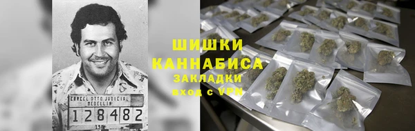 хмурый Лиски