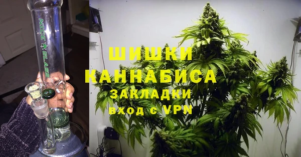 хмурый Лиски