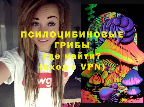 spice Лихославль