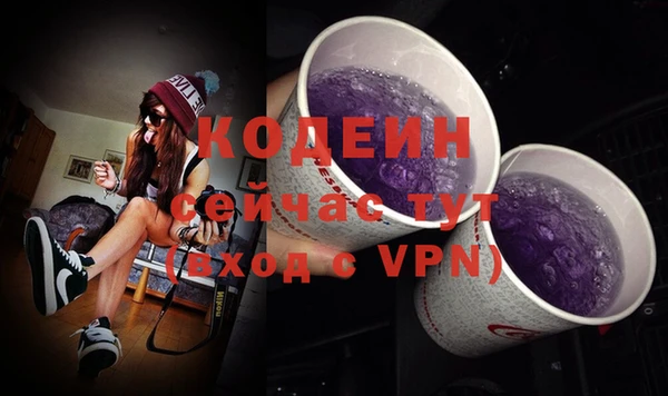 хмурый Лиски