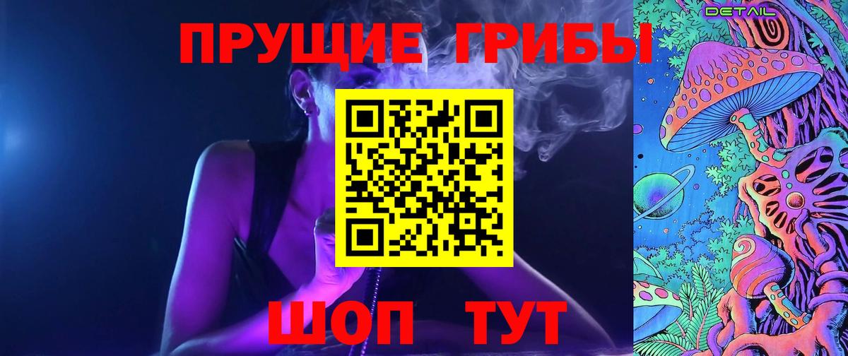 Псилоцибиновые грибы Cubensis Иваново